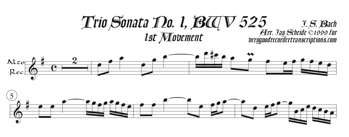 Solo recorder parts for all the items in the Organ categories. (Not necessary if you get the versions with keyboard.)