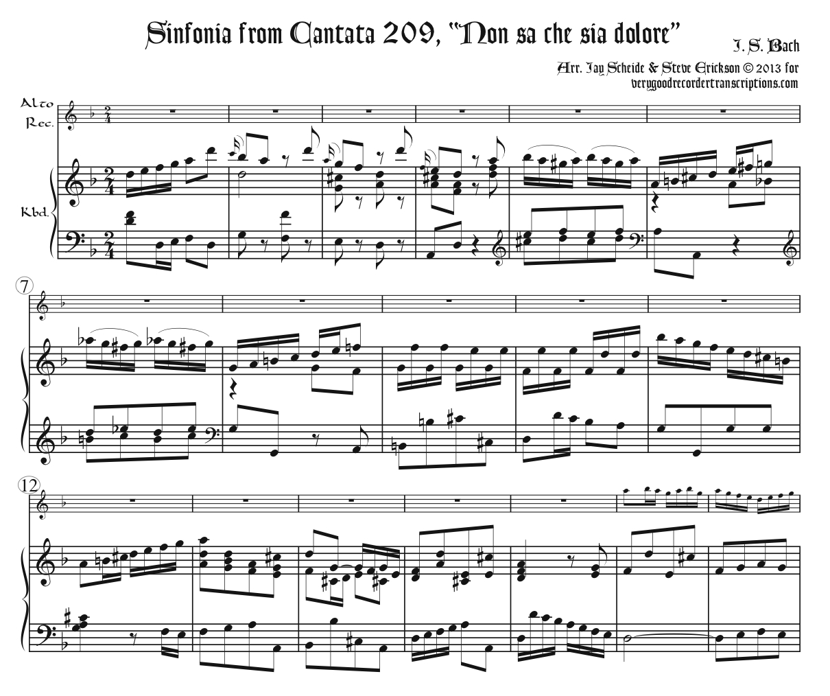 Sinfonia from Cantata 209, *Non sa che sia dolore*