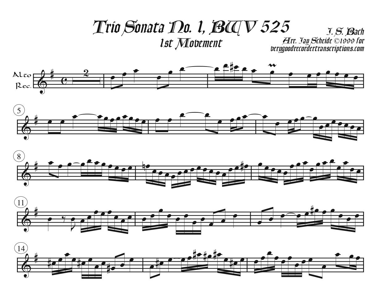 Solo recorder parts for all the items in the Organ categories. (Not necessary if you get the versions with keyboard.)