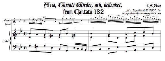 Aria, “Christi Glieder, ach, bedenket,” from Cantata 132