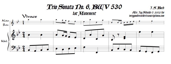 Trio Sonata No. 6, BWV 530