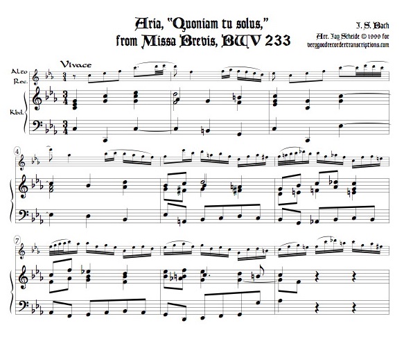 Aria, “Quoniam tu solus,” from Missa Brevis, BWV 233