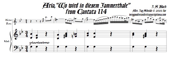 Aria, “Wo wird in diesem Jammerthale,” from Cantata 114