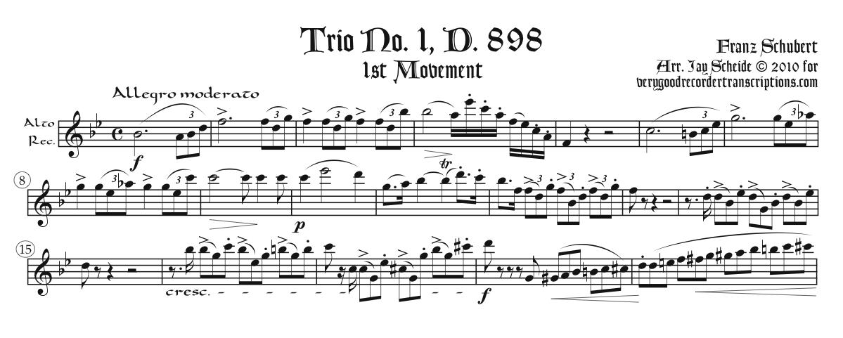 1st Movement from Trio, D. 898