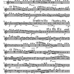 Solo recorder parts for all the items in the J. Bologne, Le Chevalier de St.-Georges category. (Not necessary if you get the versions with keyboard.)